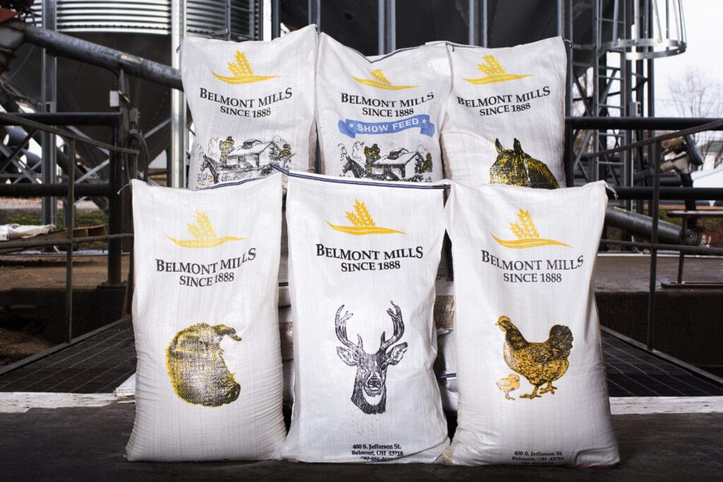 Belmont Mills Show Feeds Agriculture Farming Feed Grass Seed