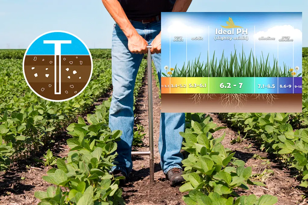 A person testing soil pH in a green field to optimize crop growth.